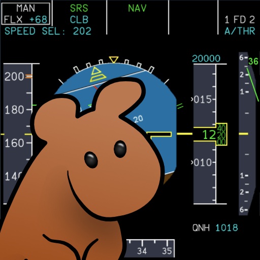 Marmot Airlines